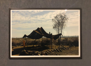 Barbara Heider-König - Landscape I